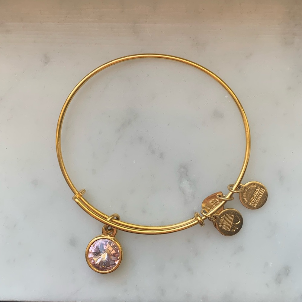 Alex and Ani Charm Bangle with Swarovski Crystal